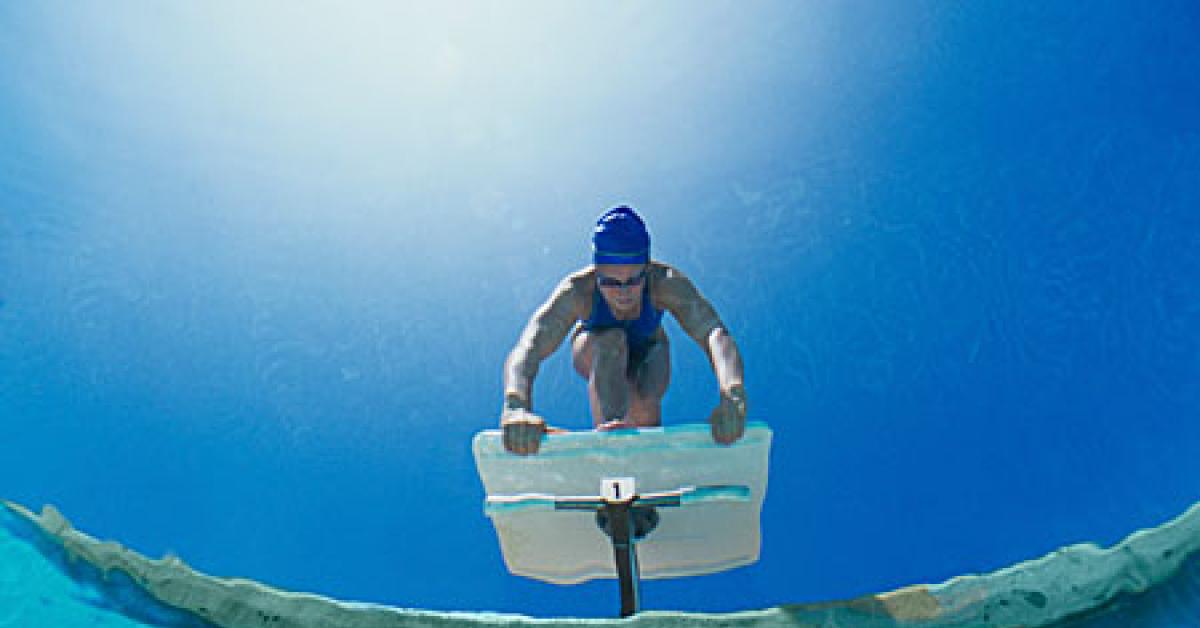 000038790686 diving in web