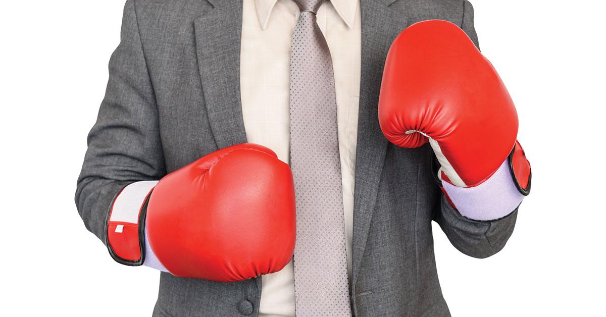 10348 03094 boxing gloves web
