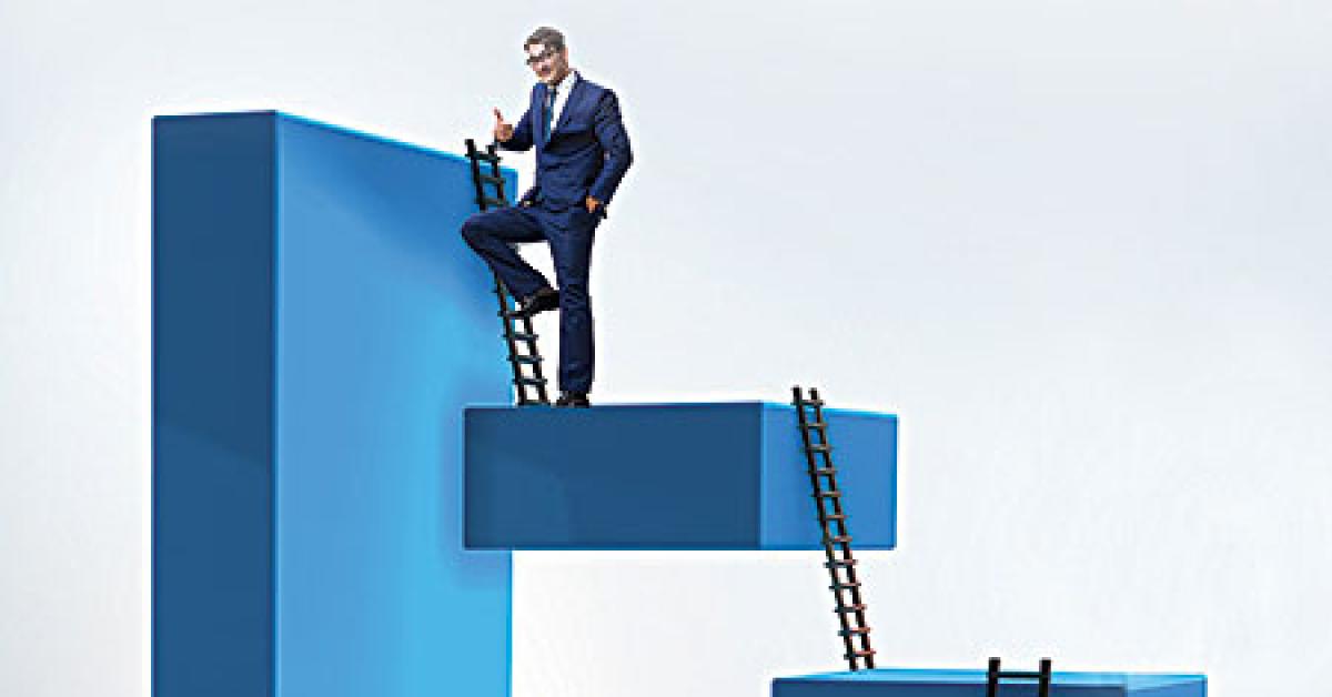 19043 202923 climbing ladders web