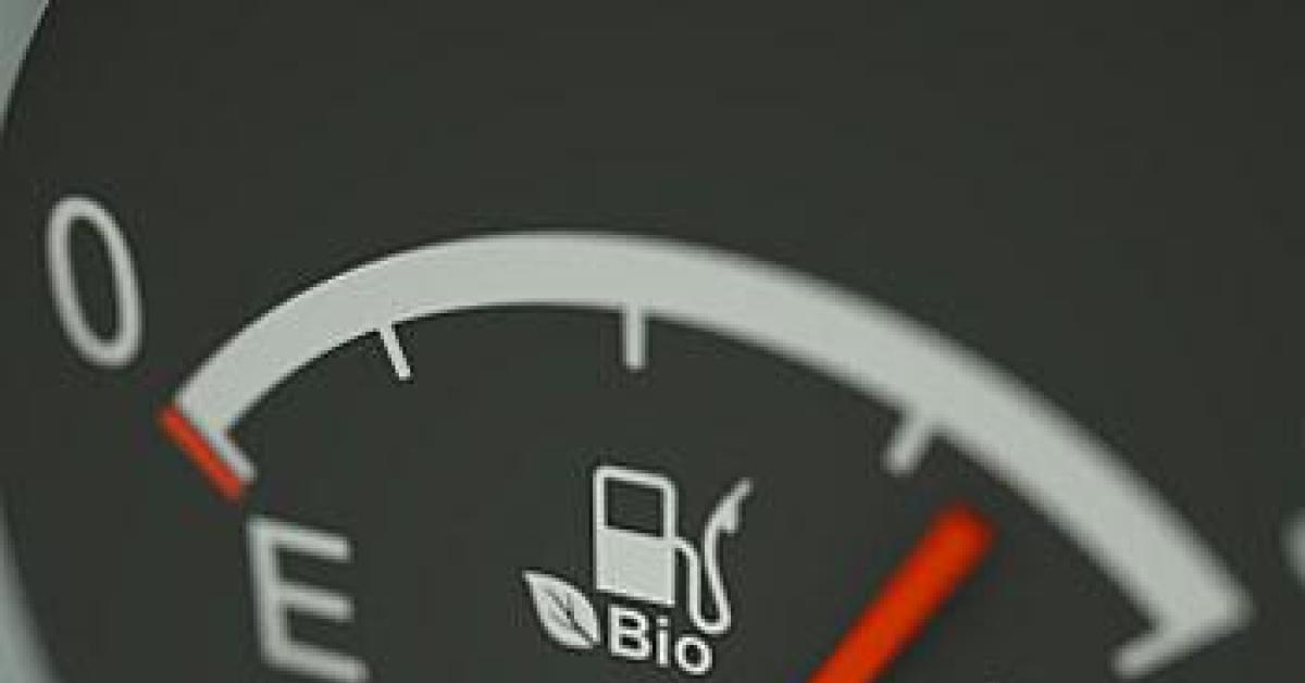 Fuel gauge