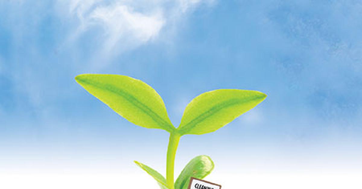 cultivating acounts cover web