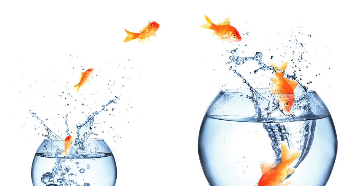 Making the Decision to Expand Your Laundry Business