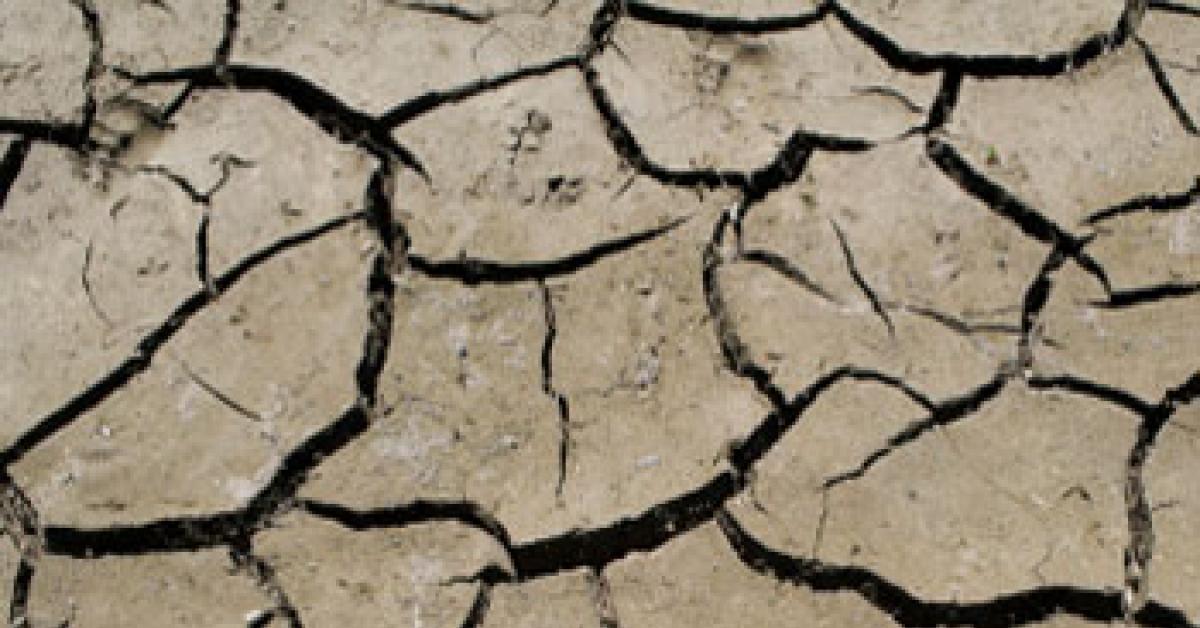 drought