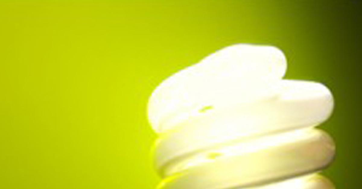 light bulb on green background