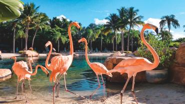 2025 Clean Show Travel Guide