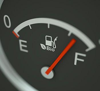 Fuel gauge
