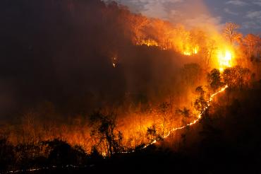 LA Wildfires to Leave Lasting Impact on Area Dry Cleaners